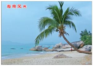 【海南-旅游资源】美丽的海岛风情