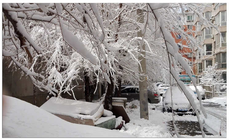 沈阳雪景